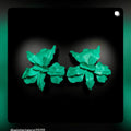 Green succulent plants on a black background with 'wisterianco2020' branding.