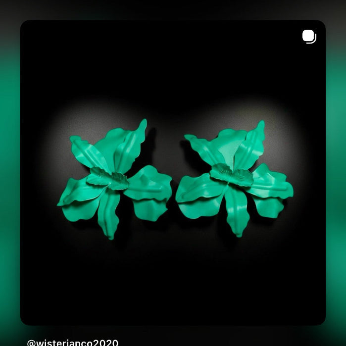 Green succulent plants on a black background with 'wisterianco2020' branding.