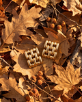 Gold chain-link square stud earrings on autumn leaves with berries