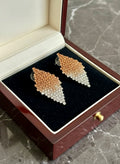 Pair of leaf-shaped earrings in a jewelry box on a marble surface